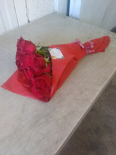 Florist «The Flower Place», reviews and photos, 860 NE 79th St, Miami, FL 33138, USA