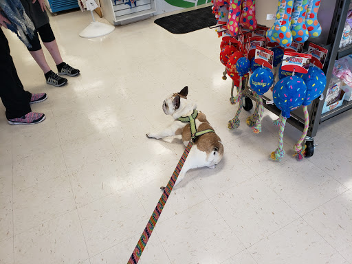 Pet Supply Store «Natural Pet Center», reviews and photos, 3037 13th Ave S, Fargo, ND 58103, USA