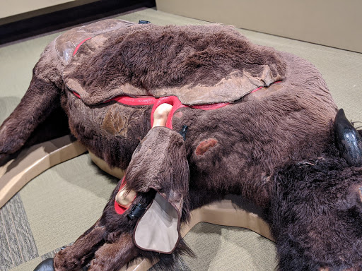 Historical Society «Minnesota History Center», reviews and photos, 345 W Kellogg Blvd, St Paul, MN 55102, USA