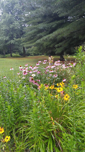 Gift Shop «Stonehedge Gardens», reviews and photos, 51 Dairy Rd, Tamaqua, PA 18252, USA