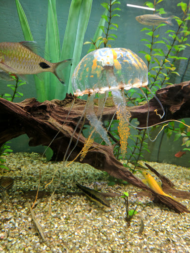 Pet Store «Fins Feathers Paws Claws», reviews and photos, 201 Station Rd, Quakertown, PA 18951, USA