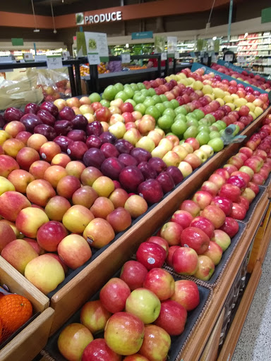 Supermarket «Publix Super Market at Muscle Shoals Commons», reviews and photos, 3220 Woodward Ave, Muscle Shoals, AL 35661, USA