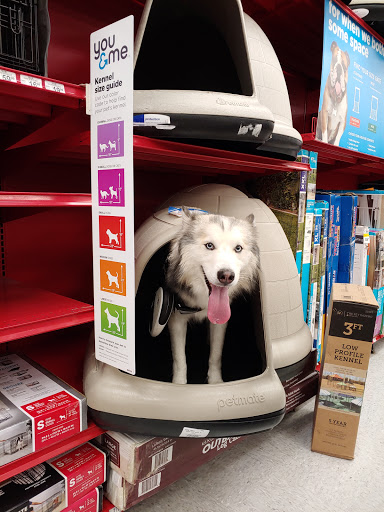 Pet Supply Store «Petco Animal Supplies», reviews and photos, 8111 W Broward Blvd, Plantation, FL 33324, USA