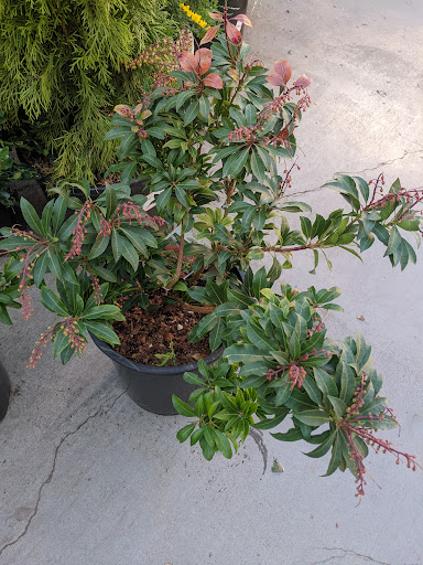 Home Improvement Store «The Home Depot», reviews and photos, 510 Orange Dr, Vacaville, CA 95687, USA