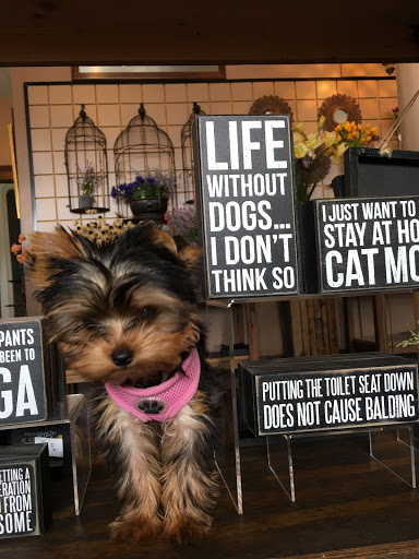 Gift Shop «The Warehouse Gift Shops», reviews and photos, 60 Chestnut St, Lockport, NY 14094, USA