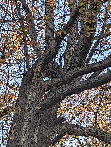 Educational Institution «The Audubon Society of Rhode Island Environmental Education Center», reviews and photos, 1401 Hope St, Bristol, RI 02809, USA