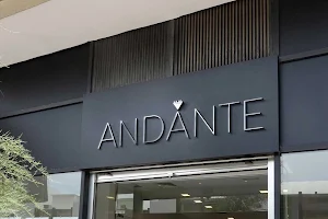 Andante-Stones image