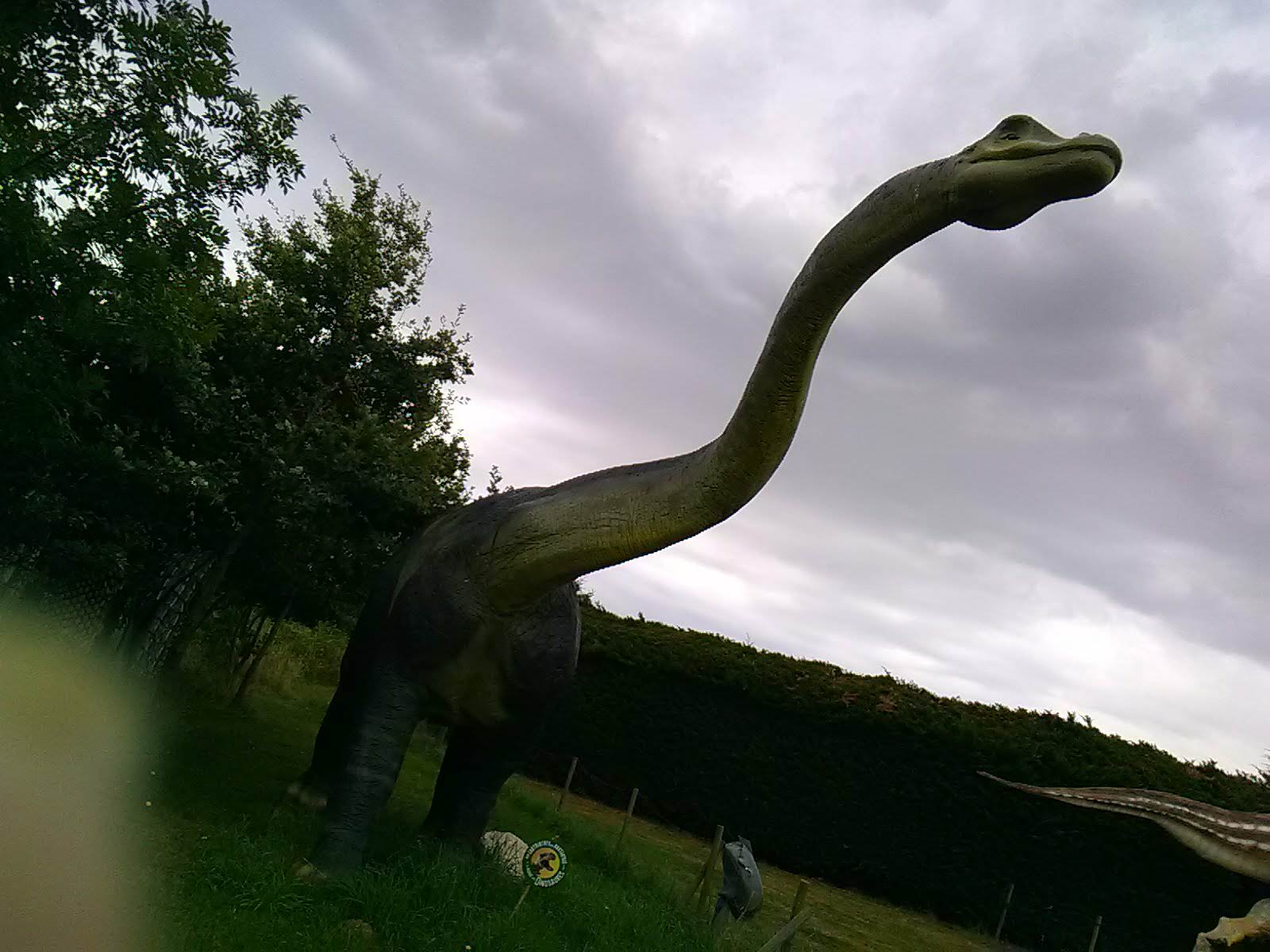 Photo n° 19 de l'avis de olivier.e fait le 15/07/2020 à 10:28
