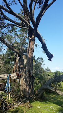 Sky Lake Appliance Repair - Photo 5 - Car repair in , Orlando