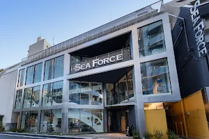 SeaForce image