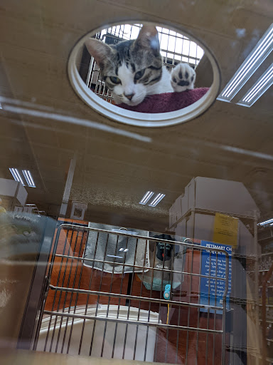 Pet Supply Store «PetSmart», reviews and photos, 271 New Rd, Somers Point, NJ 08244, USA