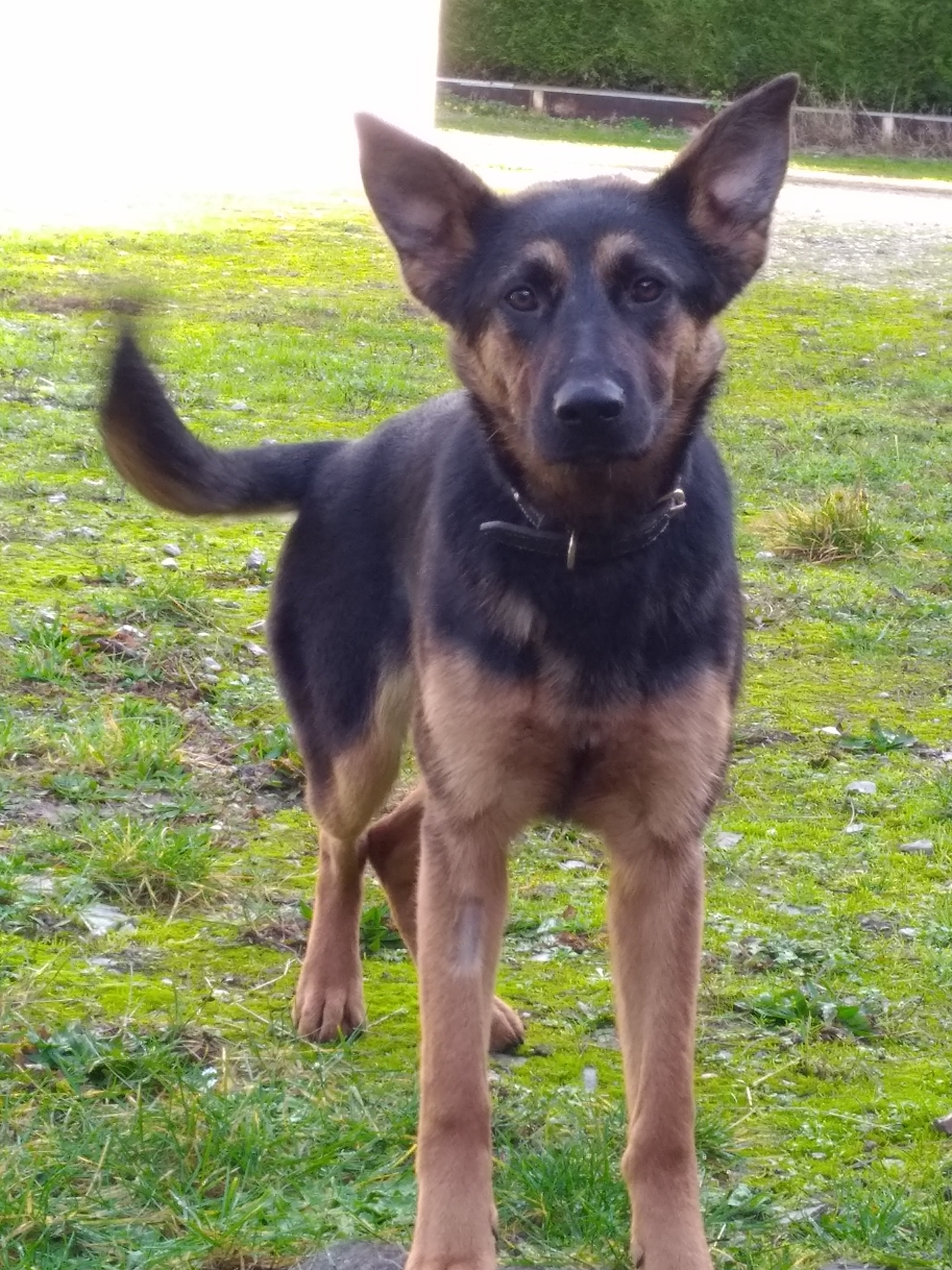 Photo n° 1 de l'avis de Pilu.r fait le 19/01/2019 à 17:29