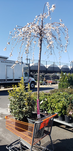 Home Improvement Store «The Home Depot», reviews and photos, 101 Green Acres Rd W, Valley Stream, NY 11581, USA