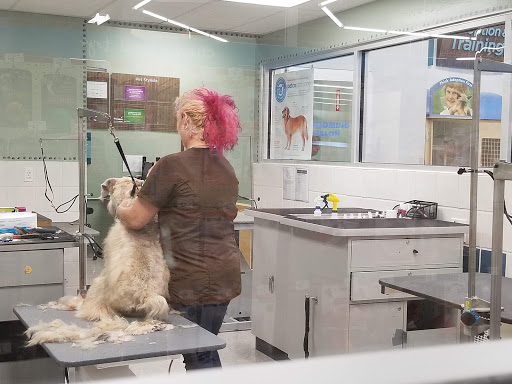 Pet Supply Store «Petco Animal Supplies», reviews and photos, 1808 Tamiami Trail a, Port Charlotte, FL 33948, USA