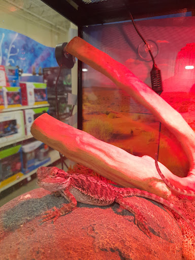 Pet Supply Store «PetSmart», reviews and photos, 1116 S Rochester Rd, Rochester Hills, MI 48307, USA