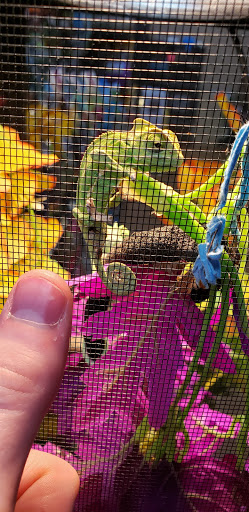 Pet Supply Store «Pet Valu», reviews and photos, 200 Biggs Blvd, Harrison, OH 45030, USA