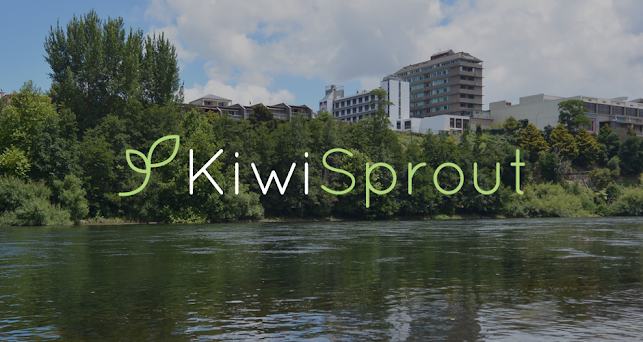 KiwiSprout - Shopify Experts