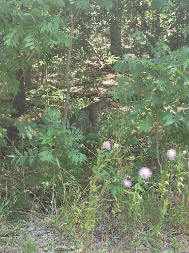 Park «River Legacy Parks East», reviews and photos, 1601 NE Green Oaks Blvd, Arlington, TX 76006, USA