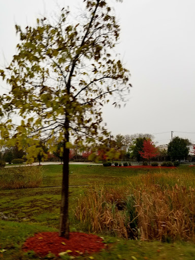 Movie Theater «AMC Classic Galewood Crossings 14», reviews and photos, 5530 W Homer St, Chicago, IL 60639, USA