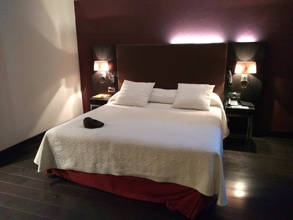 Imagen de Hotel Boutique Gareus (16 de 26)