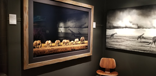 Art Gallery «National Geographic | Fine Art Galleries», reviews and photos, 607 E Las Olas Blvd, Fort Lauderdale, FL 33301, USA