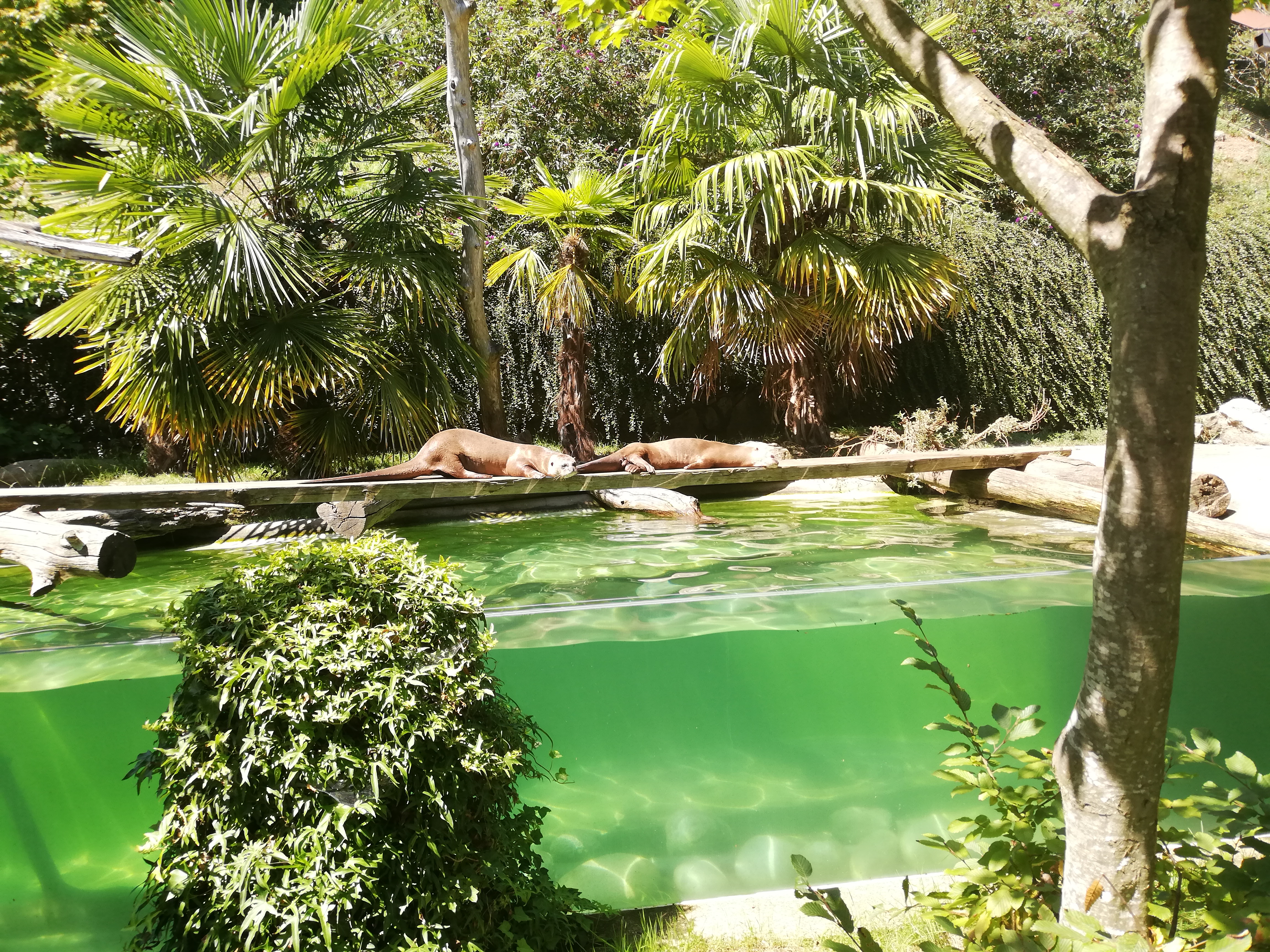 Photo n° 22 de l'avis de Soleil. fait le 20/08/2020 à 12:36