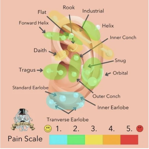 Explore cheetah tattoo ideas, creative tattoo ideas in Yakima, available at Maximus Body Piercing Studio