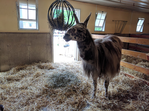 Zoo «Cosley Zoo», reviews and photos, 1356 N Gary Ave, Wheaton, IL 60187, USA