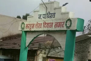Diwan Nagar Gate image