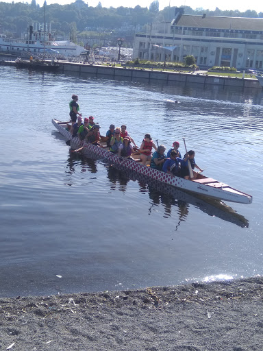 Park «Lake Union Park», reviews and photos, 860 Terry Ave N, Seattle, WA 98109, USA