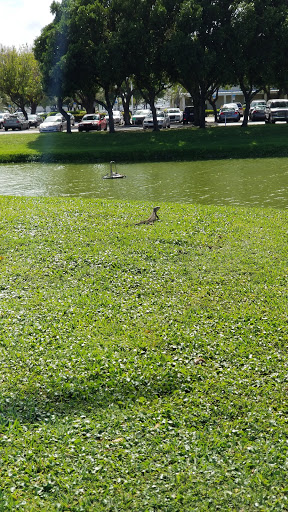 Golf Club «Pompano Beach Golf Shop», reviews and photos, 1101 N Federal Hwy, Pompano Beach, FL 33062, USA