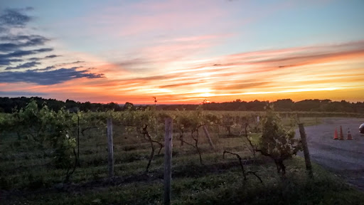Winery «Casa Larga Vineyards», reviews and photos, 2287 Turk Hill Rd, Fairport, NY 14450, USA