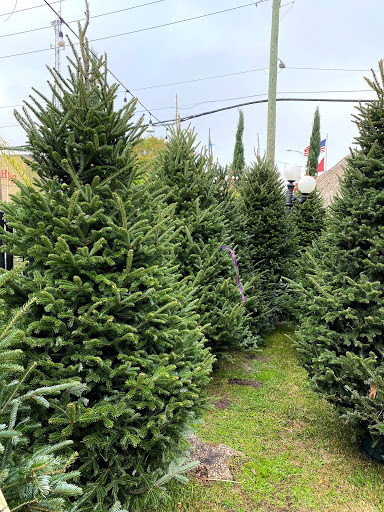 Florist «Tanglewood Flowers & Garden», reviews and photos, 5518 Dolores St, Houston, TX 77056, USA