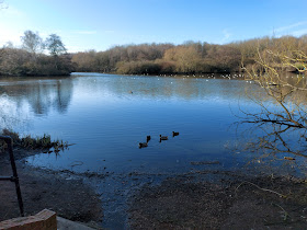 Bestwood Country Park - Mill Lakes