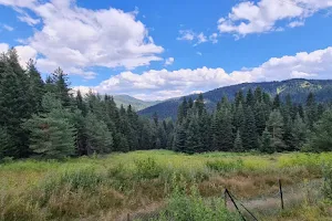 Ilgaz Mountain National Park image