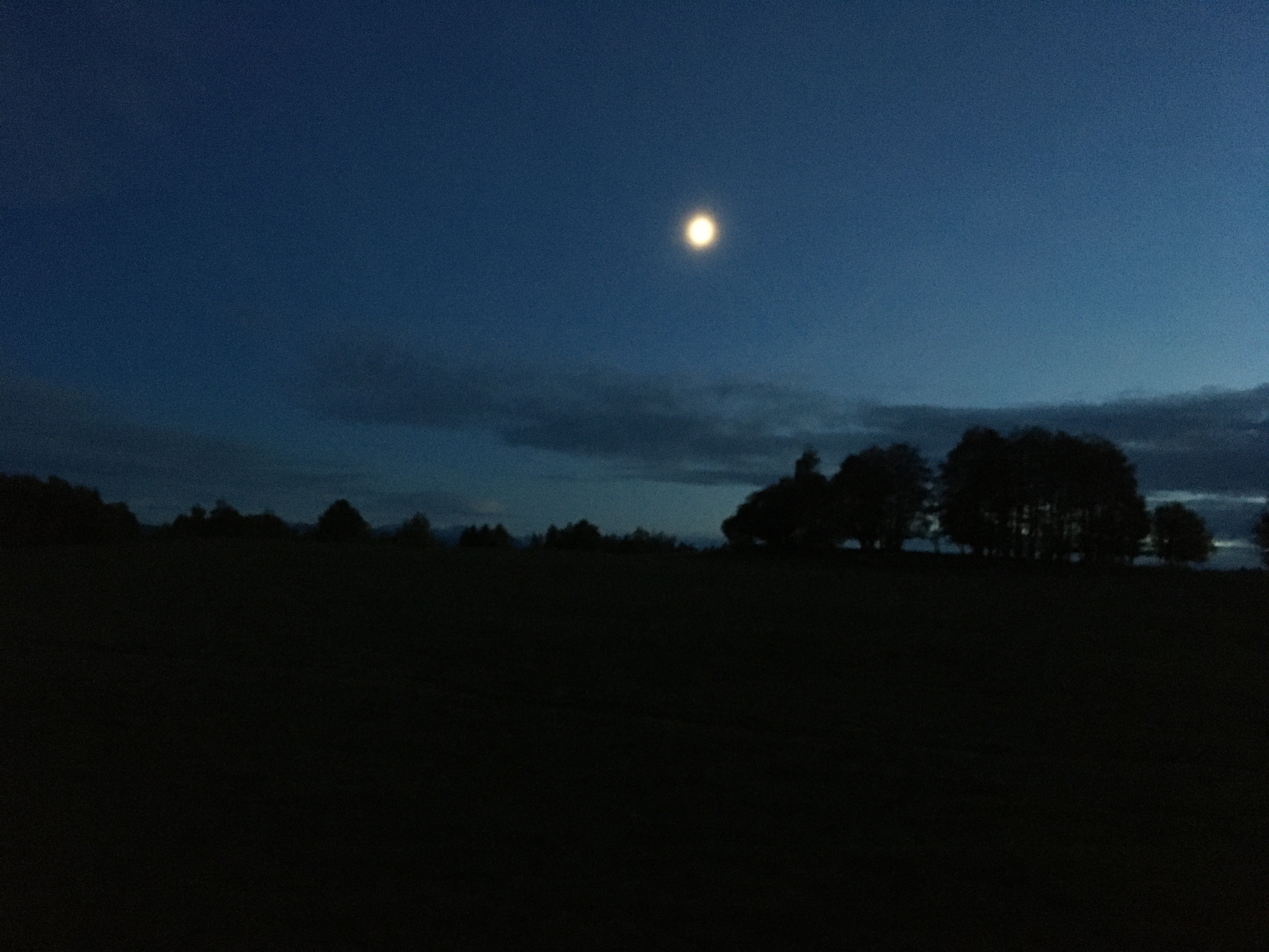 Photo n° 3 de l'avis de Laurent.a fait le 31/10/2023 à 17:31