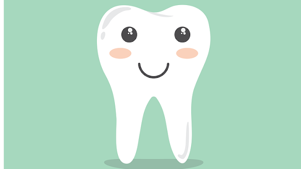 Clínica Dental Doctor Javier Fernández