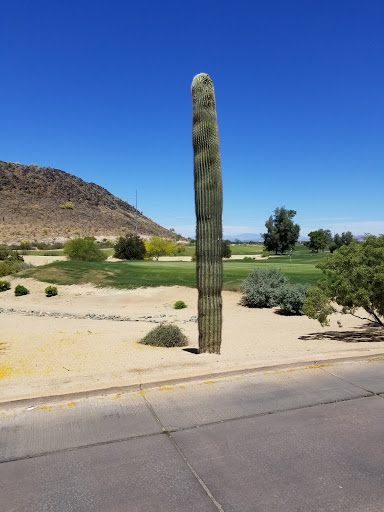 Golf Club «Lookout Mountain Golf Club», reviews and photos, 11111 N 7th St, Phoenix, AZ 85020, USA
