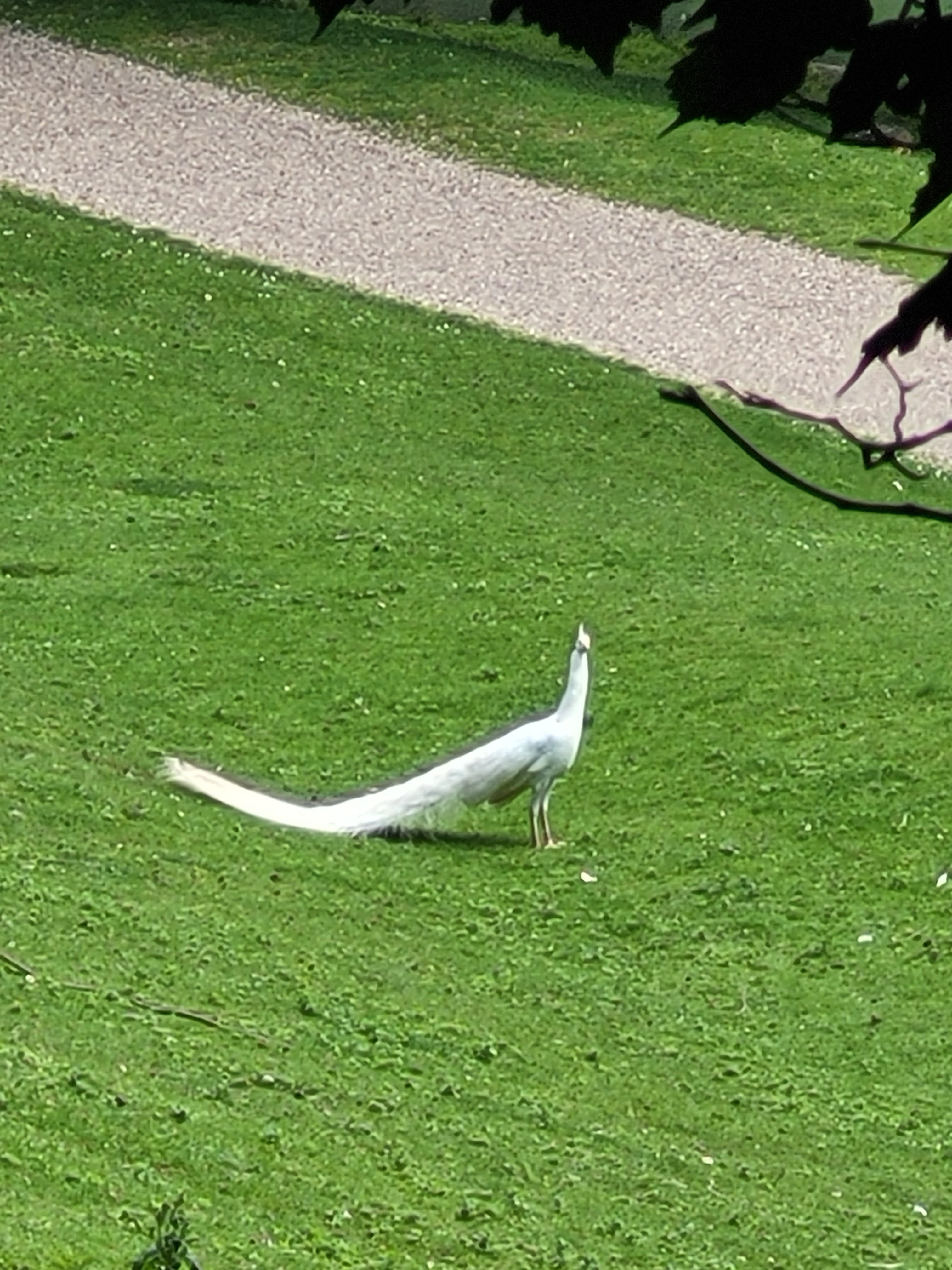 Photo n° 15 de l'avis de Vero.o fait le 14/06/2022 à 11:47