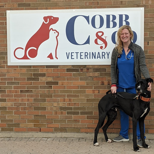 Cobb & Co Veterinary Clinic image