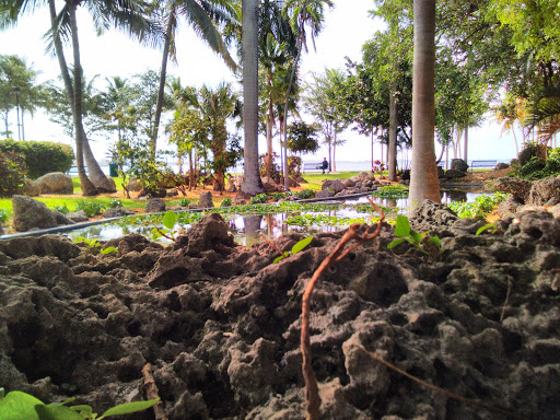 Performing Arts Theater «Bayfront Park Amphitheatre», reviews and photos, 301 Biscayne Blvd, Miami, FL 33132, USA