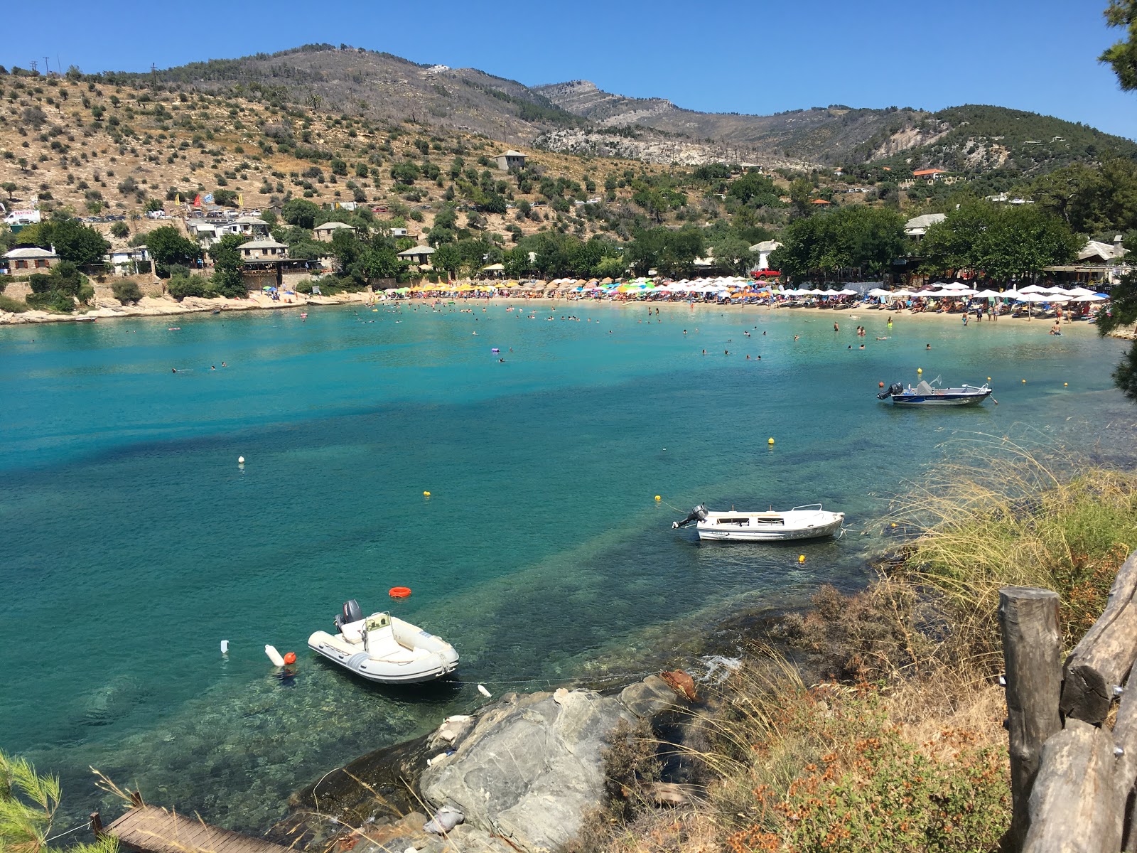 Aliki beach photo #8