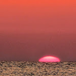 Photo n°11 de l'avis de Vincenzo.e fait le 28/08/2023 à 16:17 sur le  Embassy à Pesaro