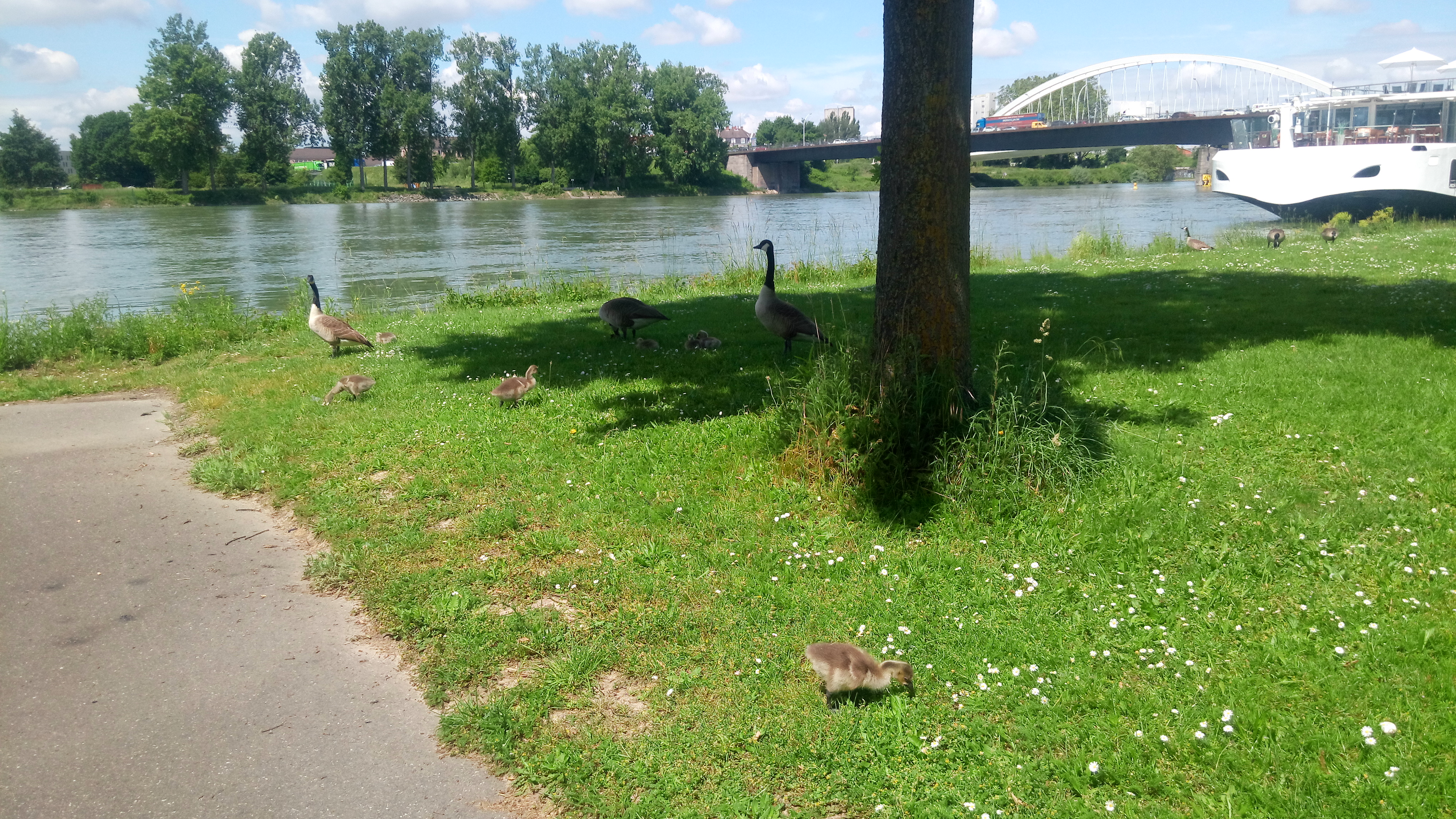 Photo n° 4 de l'avis de ArnO.. fait le 31/05/2019 à 10:26