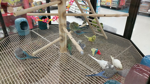 Pet Supply Store «Petco Animal Supplies», reviews and photos, 4751 W 29th St, Greeley, CO 80634, USA