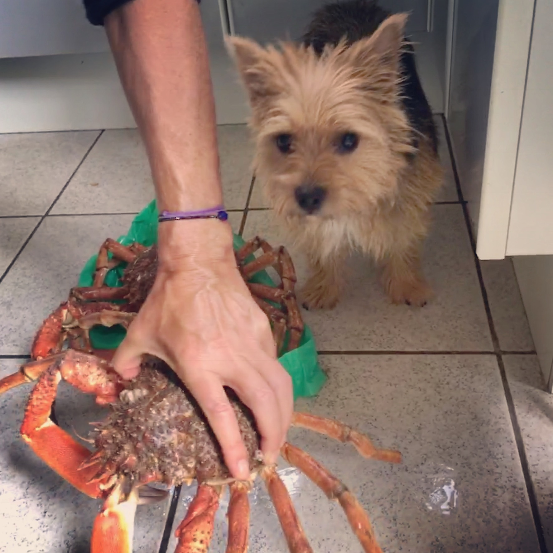 Photo n° 2 de l'avis de Emilie.i fait le 17/08/2018 à 10:01