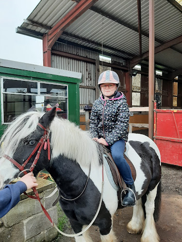 Reviews of Fir Tree Farm Equestrian Centre in Doncaster - School