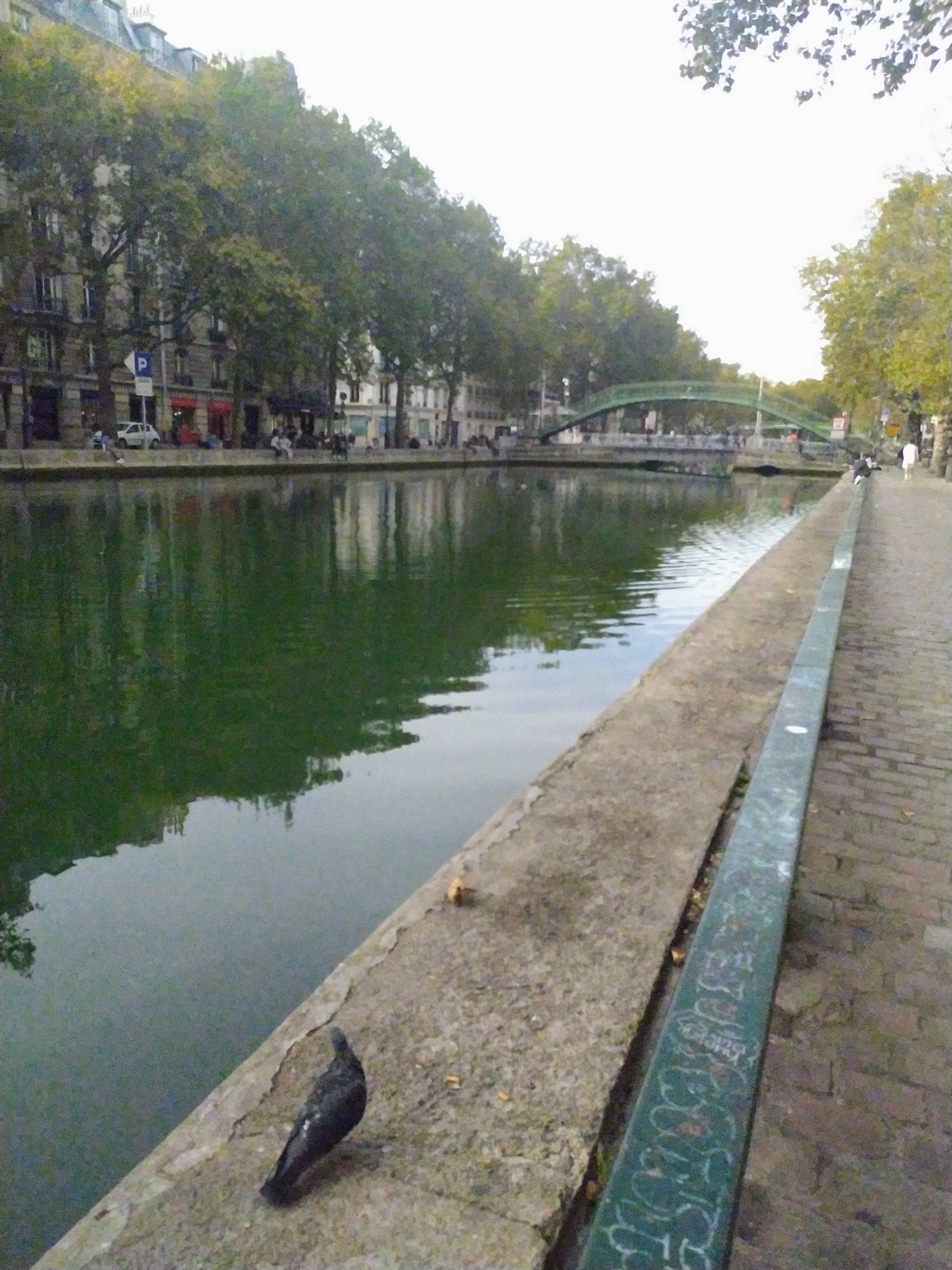 Photo n° 10 de l'avis de Flore.e fait le 16/10/2023 à 14:40