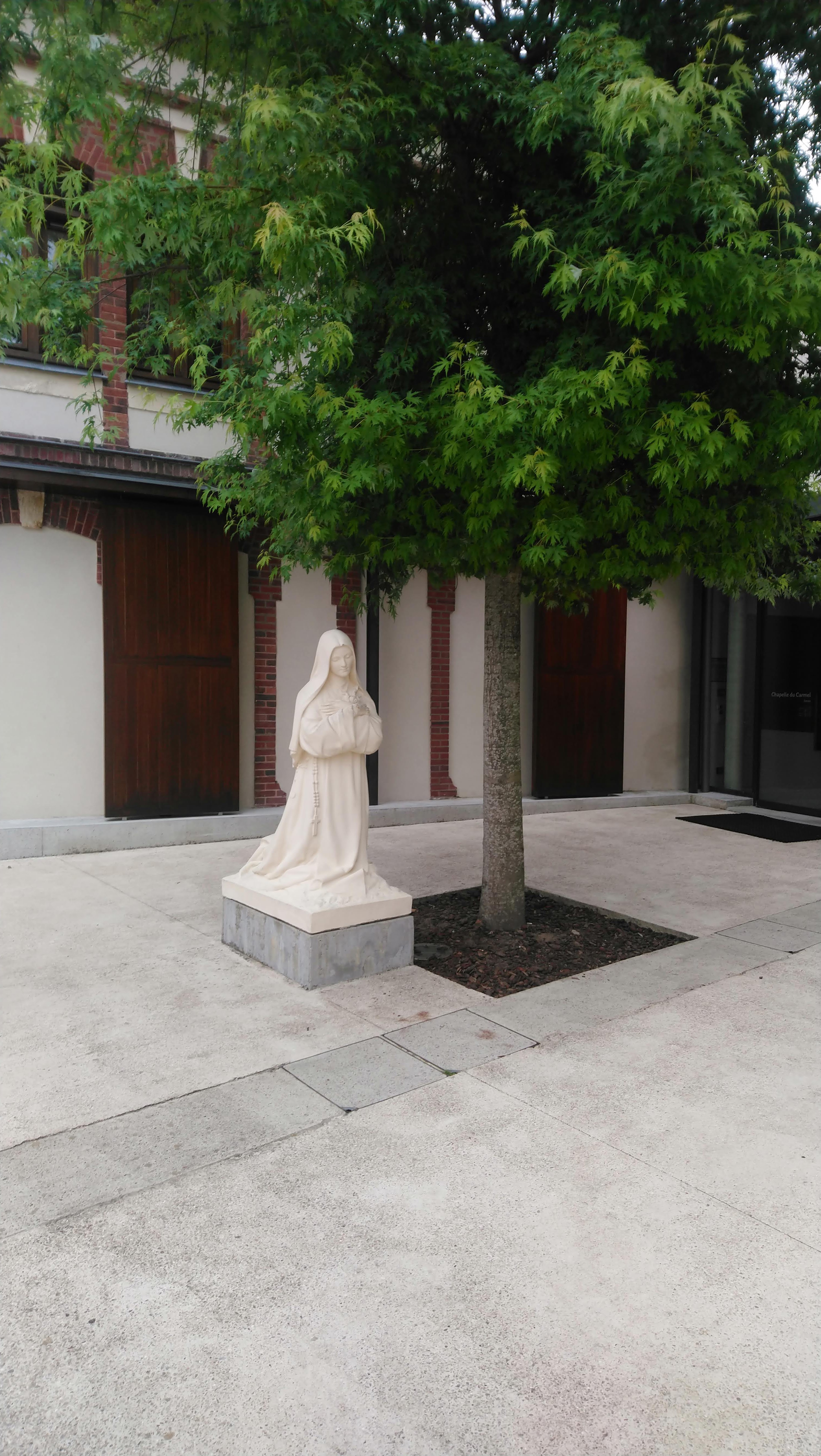 Photo n° 4 de l'avis de Aigle.s fait le 10/06/2018 à 12:48