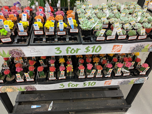 Home Improvement Store «The Home Depot», reviews and photos, 1000 Hanes Mall Blvd, Winston-Salem, NC 27103, USA